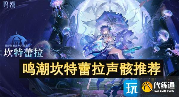 鸣潮坎特蕾拉声骸推荐