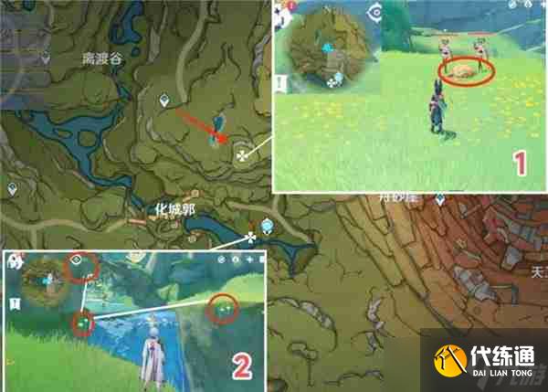 原神劫波莲最佳采集路线一览