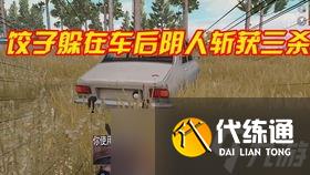 和平精英游戏讲解双排,和平精英里的双排是什么