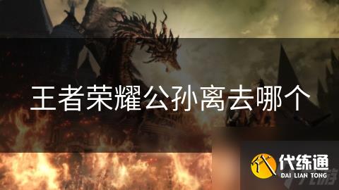 王者荣耀公孙离去哪个