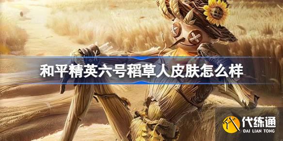 和平精英六号稻草人怎么样 和平精英六号稻草人皮肤价格