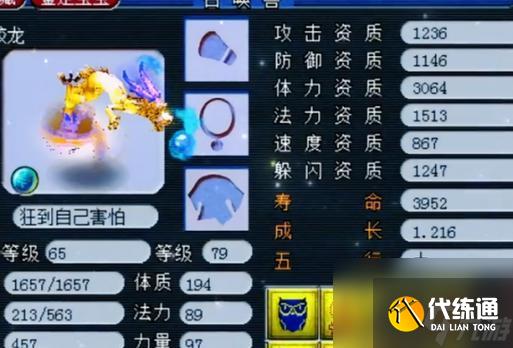梦幻西游中乖乖蛟龙的战斗策略是什么？