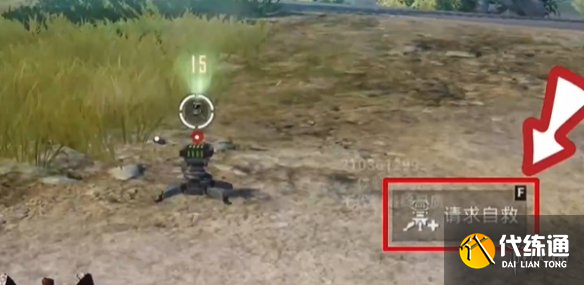 游侠网5