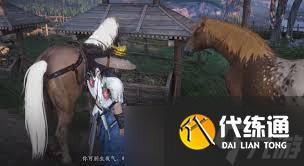 燕云十六声化马记奇遇任务完成攻略