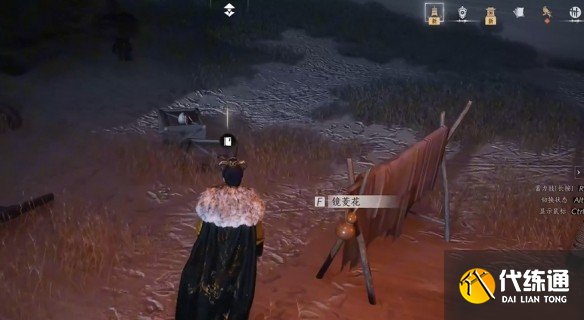 游俠網5