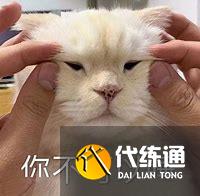 游俠網(wǎng)3
