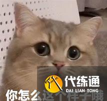 游俠網(wǎng)5