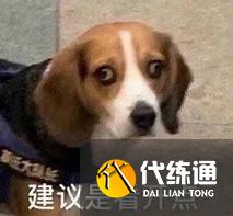 游俠網(wǎng)6