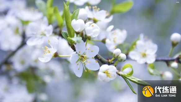游俠網(wǎng)4