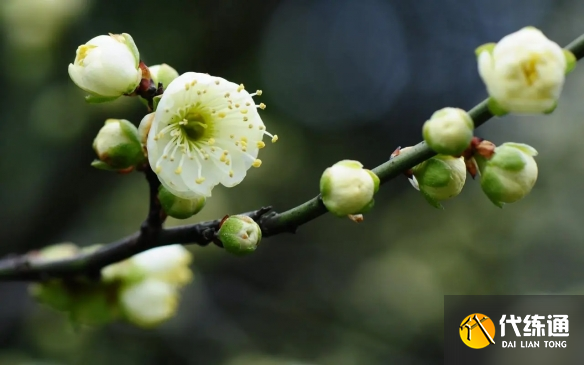 游俠網(wǎng)5
