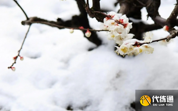 游俠網(wǎng)4