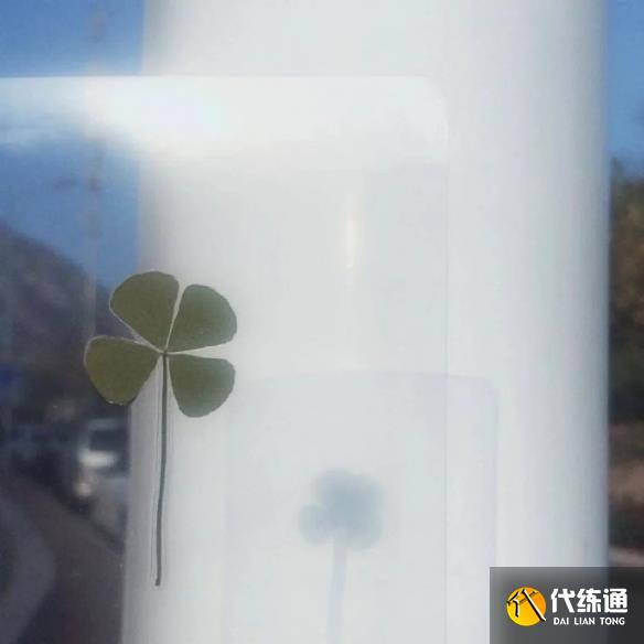 游俠網4