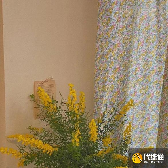 游侠网5