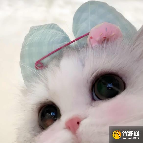 游侠网9