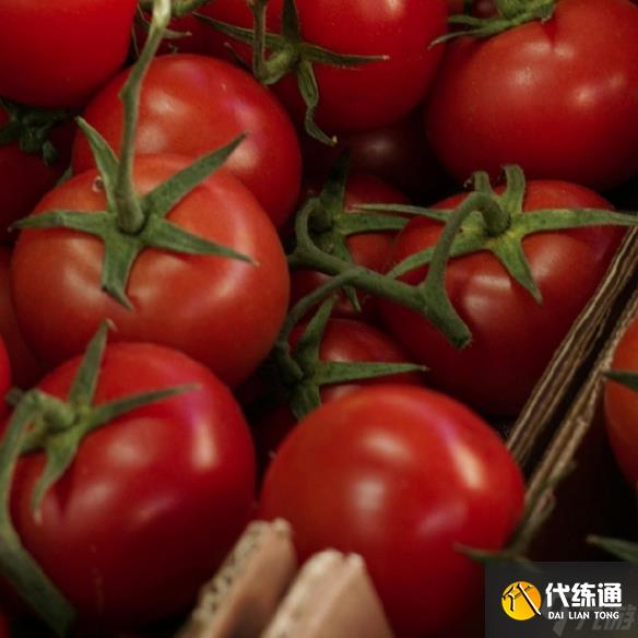 《英雄联盟》小众干净的id一览