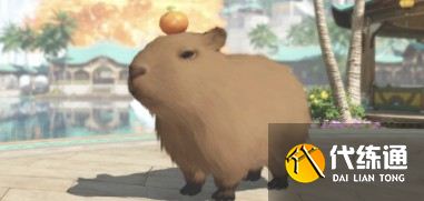 游俠網2