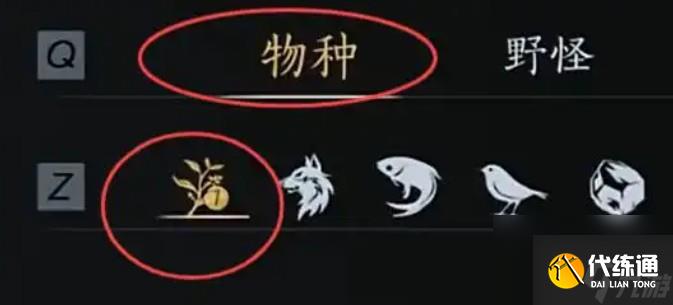 《燕云十六声》箫吟千浪升级材料获取技巧