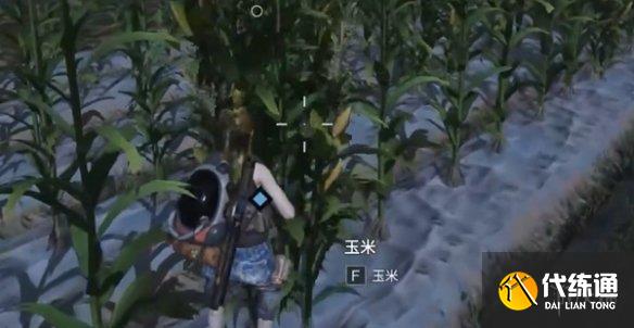 游侠网12
