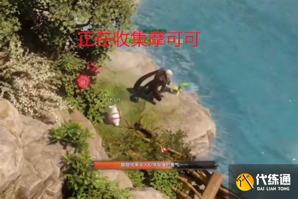 命运方舟鲸鱼岛摩可可种子在哪