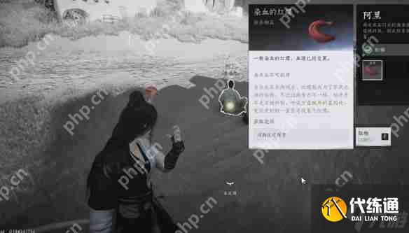 燕云十六声红缨任务全流程详解：轻松获取染血红缨攻略