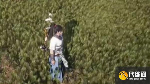 燕云十六声开封大轻功怎么获得