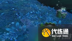 魔兽世界9.0烁光林枝囤果者小宠物获取极简攻略