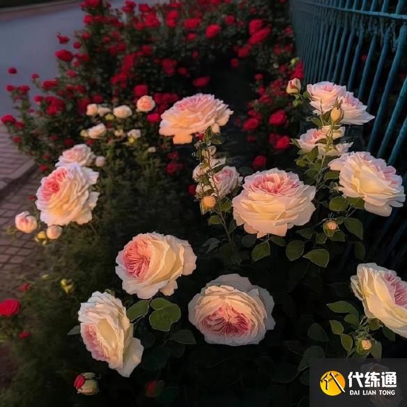 游俠網3