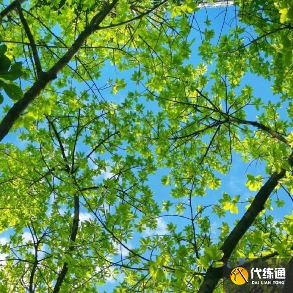游俠網4