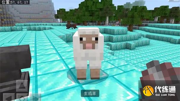 我的世界绵羊吃什么