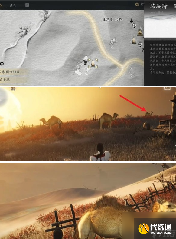 燕云十六声骆驼铃铛任务全攻略： 详解触发与完成技巧