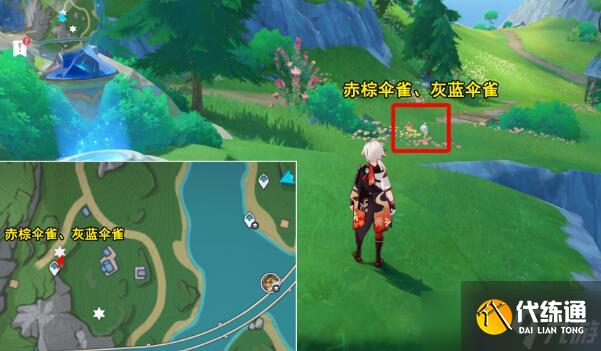 原神光影研学旖旎水界第四天攻略