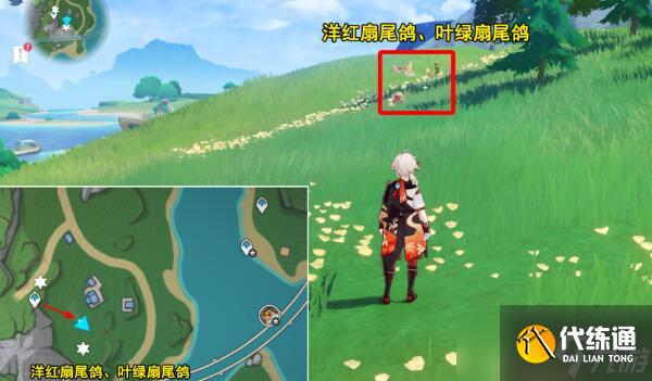 原神光影研学旖旎水界第四天攻略