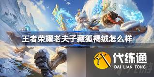 王者榮耀老夫子藏狐皮膚值得入手嗎