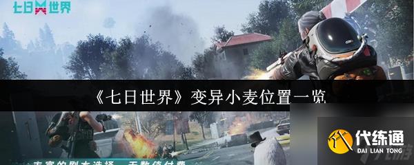 《七日世界》變異小麥位置一覽
