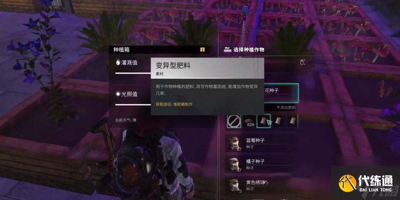 《七日世界》變異小麥位置一覽