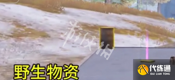 游侠网13