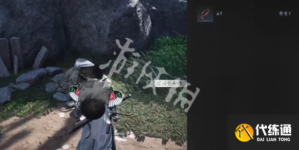 游侠网5