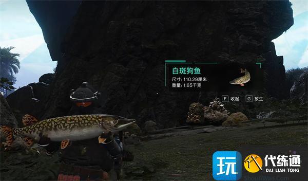 七日世界霜之白斑狗魚怎么獲取