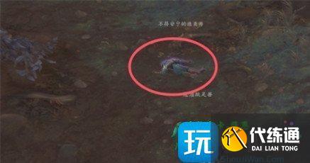 魔獸世界冥蠅王坐騎怎么獲得