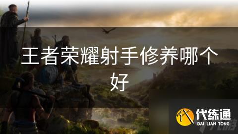 王者榮耀射手修養哪個好
