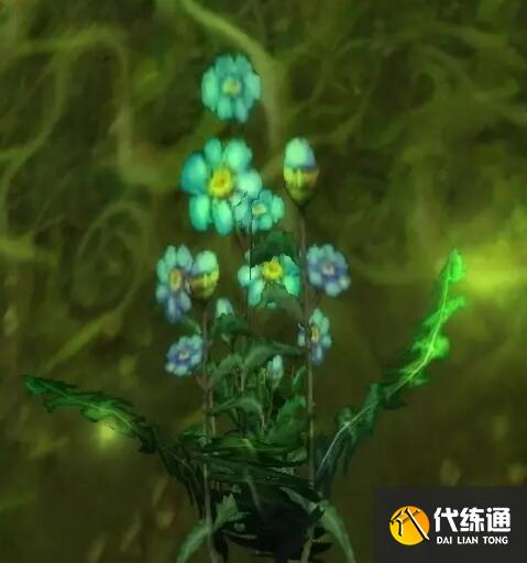 游侠网4