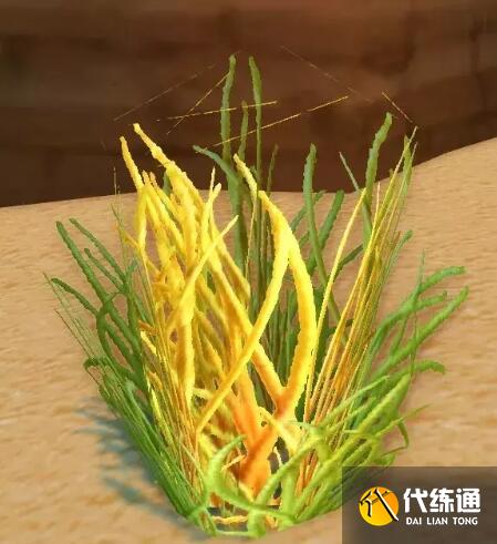 游侠网5