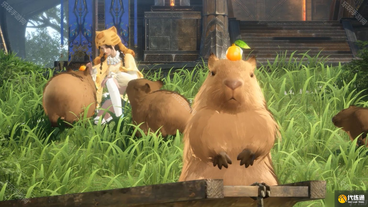 《逆水寒手游》卡皮巴拉坐騎湯泉泡泡部件獲取位置一覽