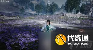 燕云十六聲端午活動都有啥