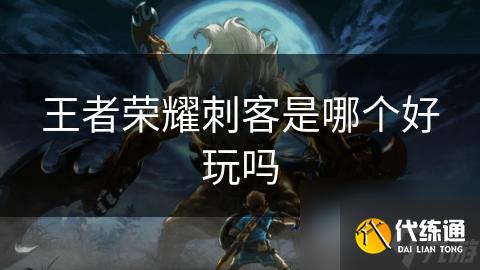 王者榮耀刺客是哪個好玩嗎