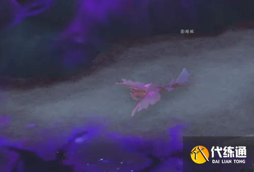 魔兽世界邪斑鱼卵怎么获得_wow邪斑鱼卵获得攻略