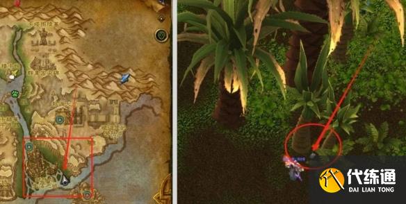 魔兽世界谜语人的灵蛇怎么获得_wow谜语人的灵蛇坐骑获取攻略