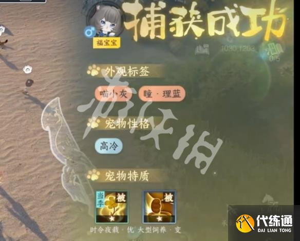 游侠网5