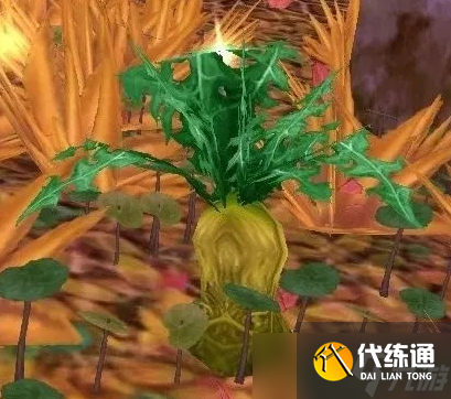 《魔兽世界》wlk下水道炖肉任务攻略