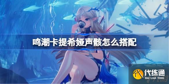 鸣潮卡提希娅声骸怎么搭配 鸣潮卡提希娅声骸推荐